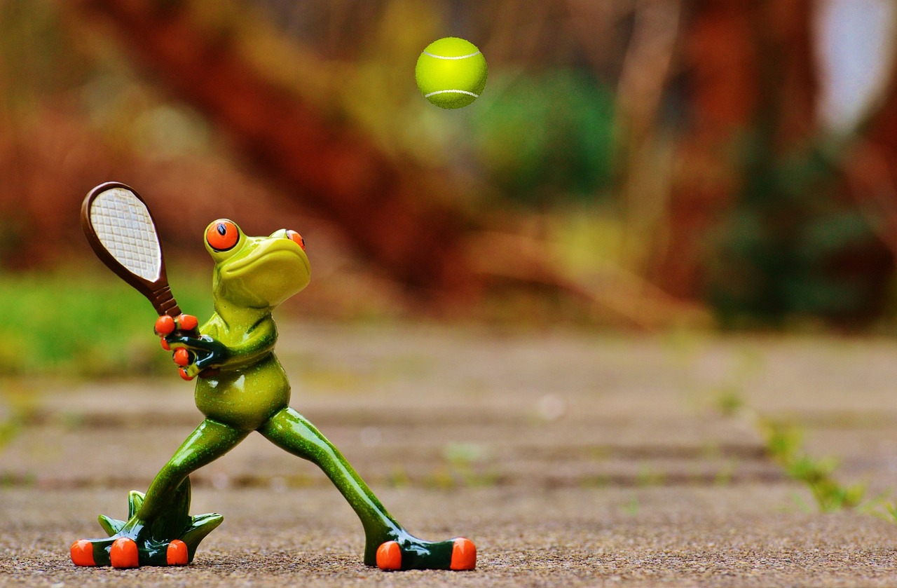 frog, tennis, fun, figure, cute, funny, tennis racket, sports, athletic, tennis, tennis, tennis, tennis, tennis